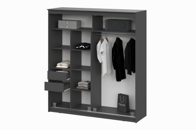 Шкаф-купе № 25 (лайт)