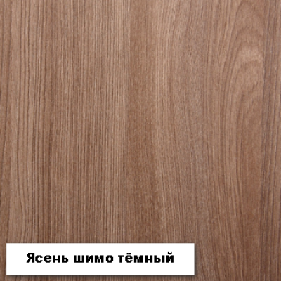 Шкаф-купе "№19 Инфинити" 2000